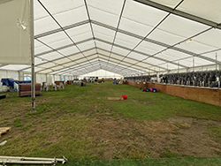 York Beer Festival